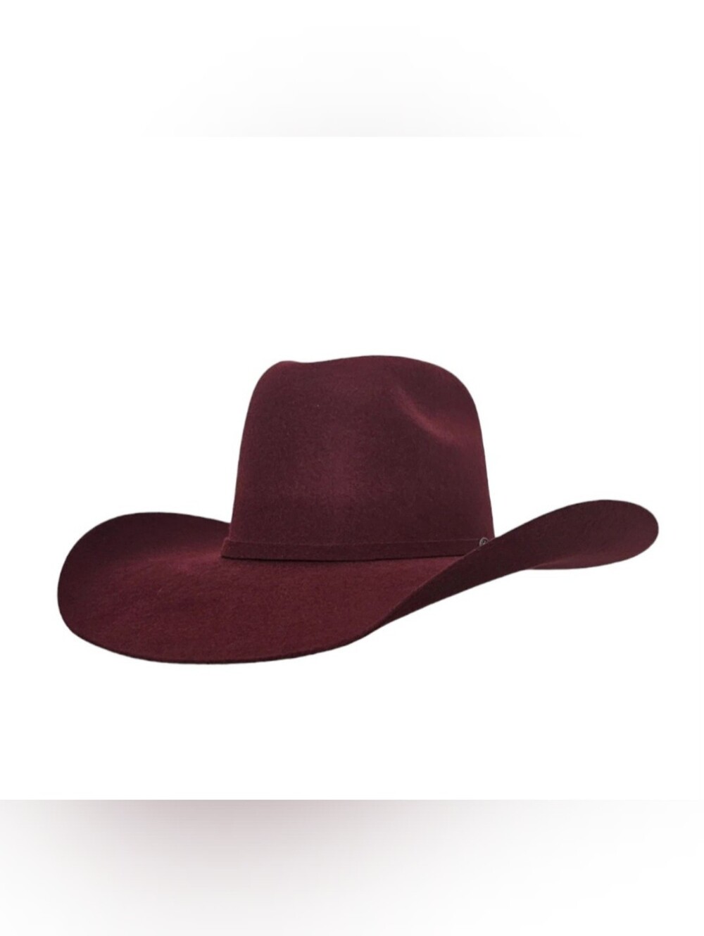 Bull Rider Cowboy Hat